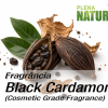 Black Cardamom - Cosmetic Grade Fragrance Oil