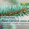 Blue Spruce - Cosmetic Grade Fragrance Oil