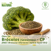 Óleo de Brócolos (Sementes) - CP