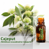 Cajeput - Óleo Essencial
