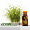 Citronela - Óleo Essencial