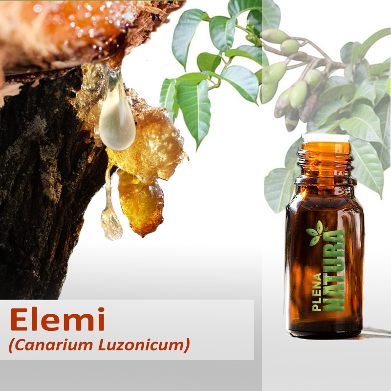 Elemi - Óleo Essencial