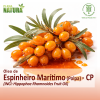 Óleo de Espinheiro Marítimo (Polpa) - CP