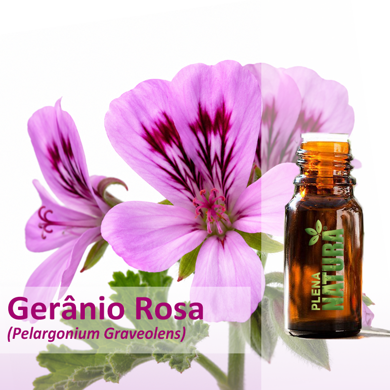 Gerânio Rosa - Óleo Essencial