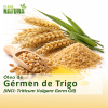 Óleo de Germen de Trigo