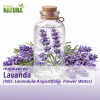Hidrolato de Lavanda