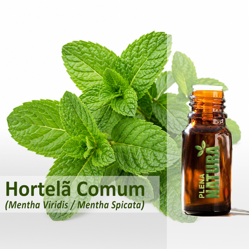 Hortelã Comum - Menta Viridis/Spicata - Óleo Essencial