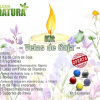 Kit para Velas - 1 Kg