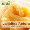 Lanolina Anidra