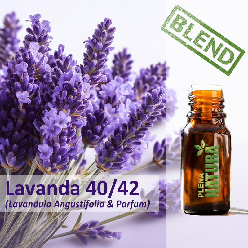 Lavanda 40/42 - Óleo Essencial (Blend)