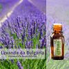 Lavanda da Bulgária - Óleo Essencial