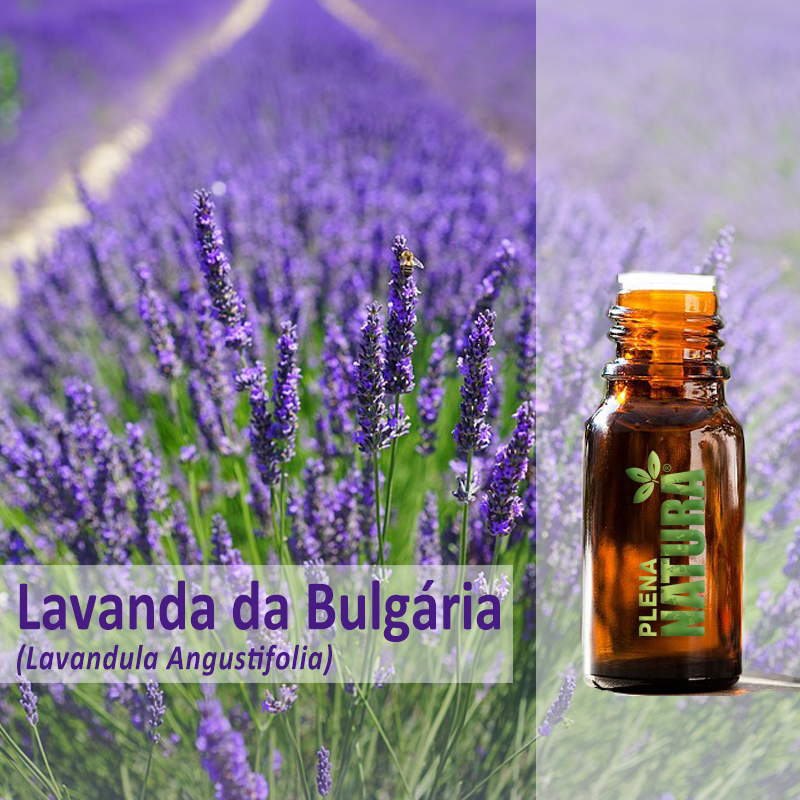 Lavanda da Bulgária - Óleo Essencial