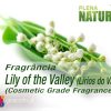 Lily of the Valley - Cosmetic Grade Fragrance Oil