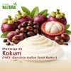 Manteiga de Kokum