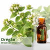 Orégão - Óleo Essencial