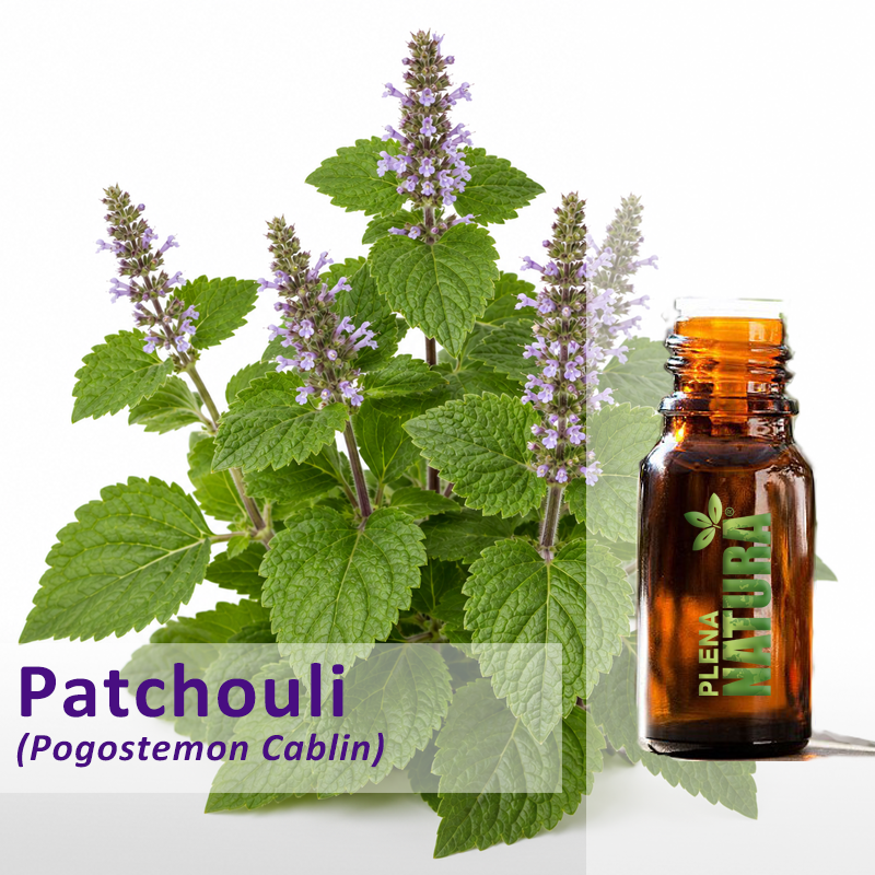 Patchouli - Óleo Essencial