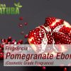 Pomegranate Ebony - Cosmetic Grade Fragrance Oil