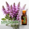 Salvia Esclareia - Óleo Essencial
