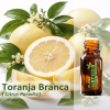 Toranja Branca - Óleo Essencial