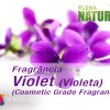 Violet - Cosmetic Grade Fragrance Oil (Violeta)