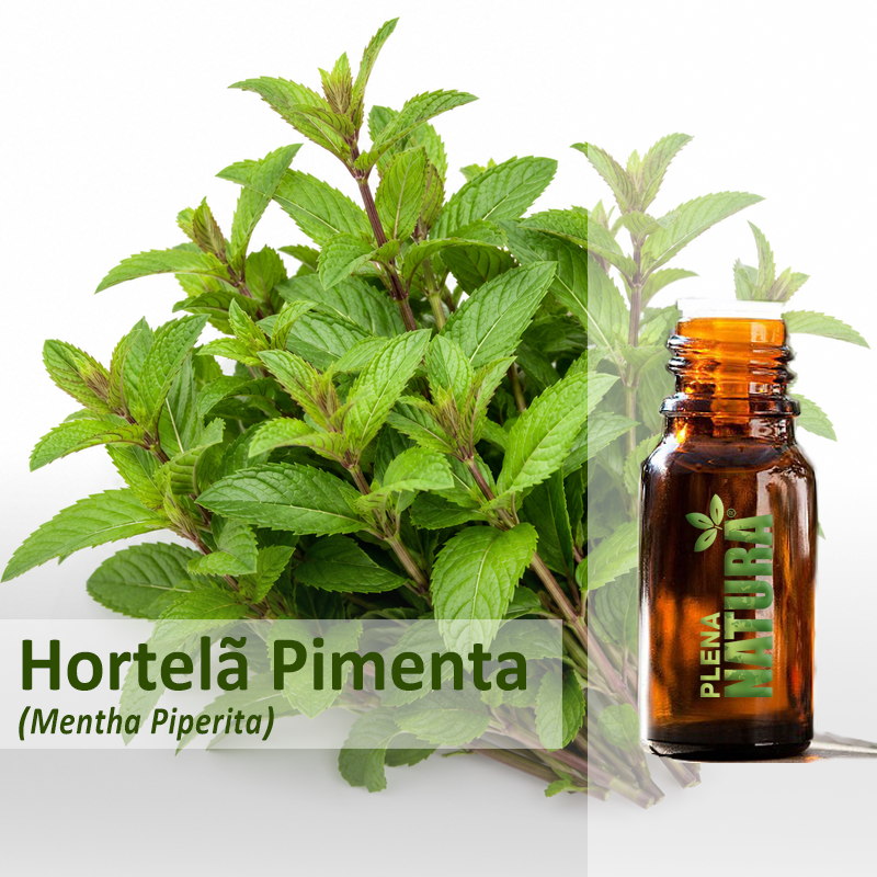 Hortelã Pimenta / Menta Piperita – Óleo Essencial