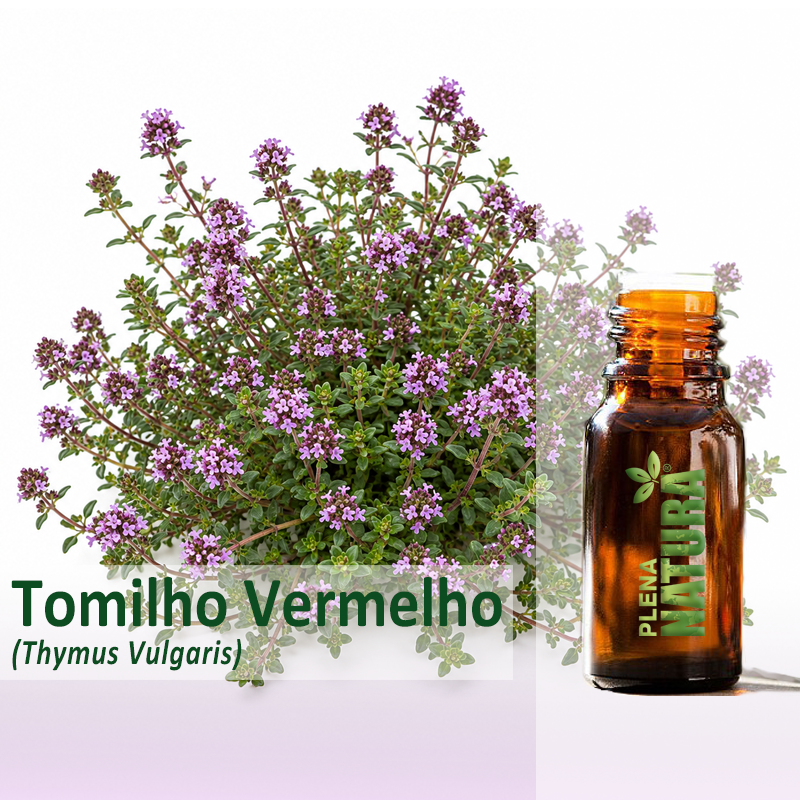 Tomilho Vermelho - Óleo Essencial